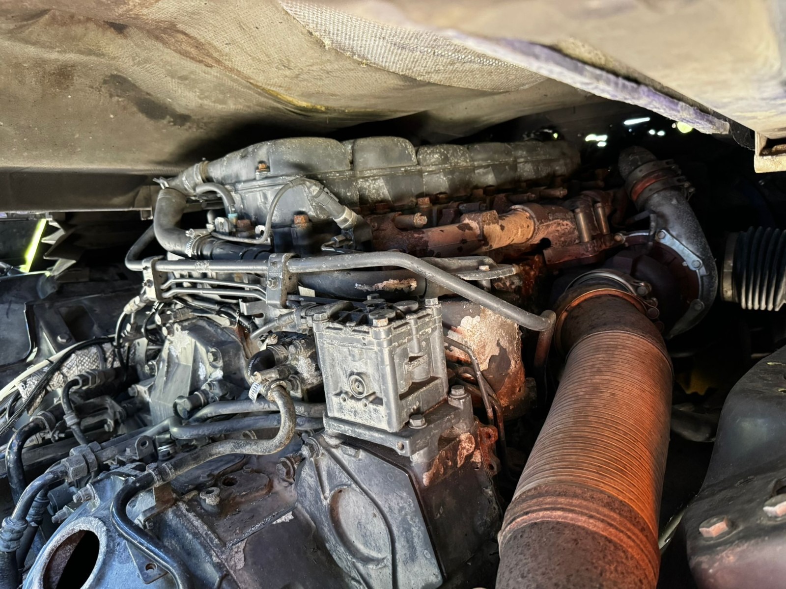 imgi_4_s-l1600 (1)