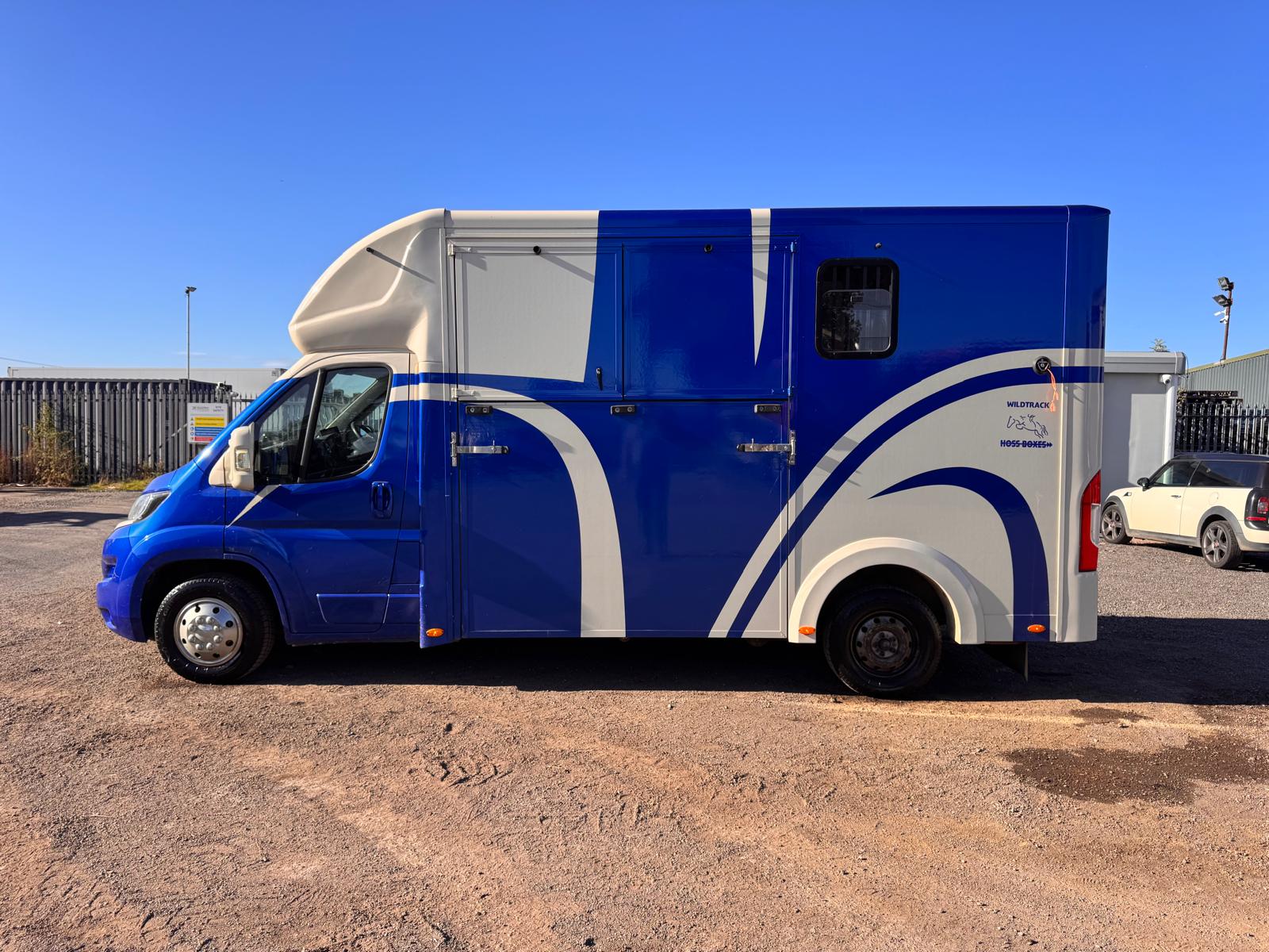 2018 PEUGEOT BOXER 2 HORSE HORSEBOX - Image 5