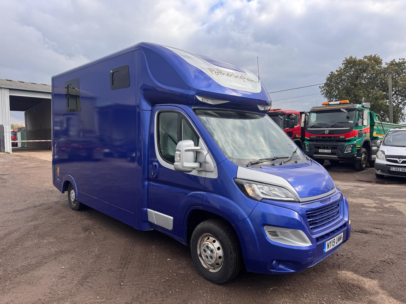 2019 PEUGEOT 2 HORSE HORSEBOX - Image 2