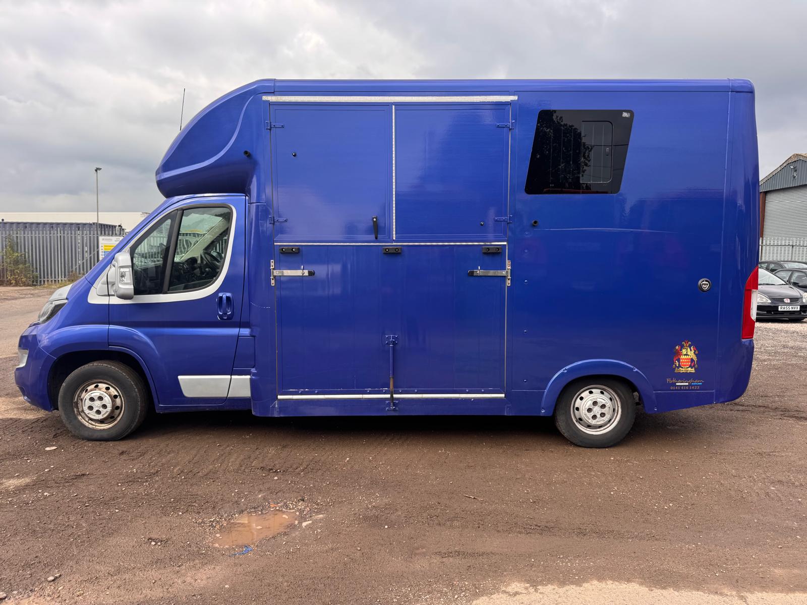 2019 PEUGEOT 2 HORSE HORSEBOX - Image 5